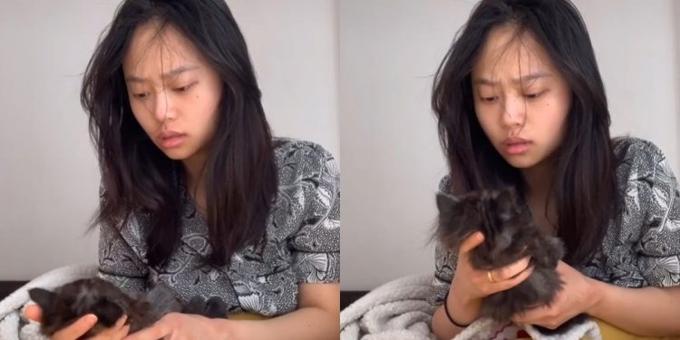 Gadis cuba kejutkan kucing tengah tidur, cuak kucing tak bangun-bangun