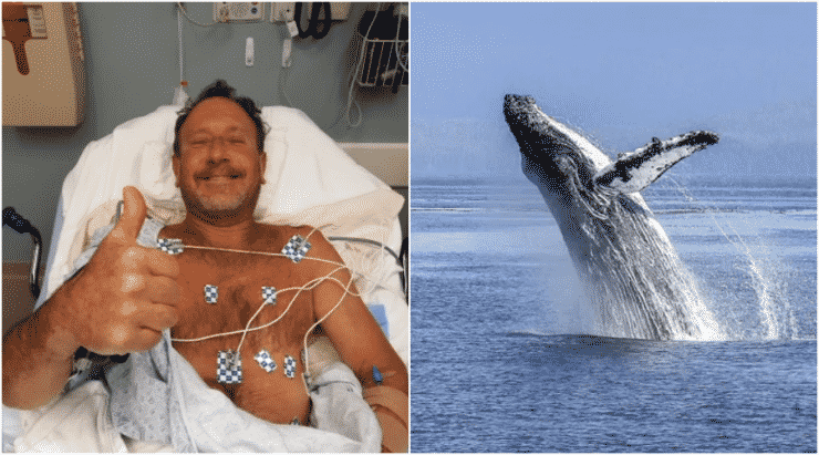 Ditelan ikan paus selama 30 saat, tiba-tiba dapat ‘nyawa kedua’ selepas ikan paus muntahkannya semula