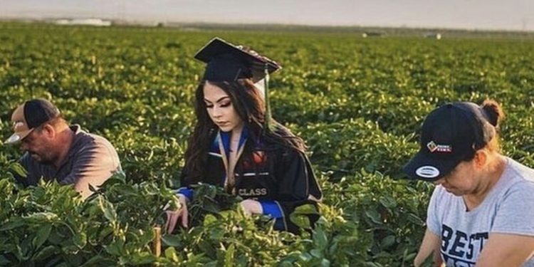 Ambil gambar graduasi di ladang, tanda hargai pengorbanan ibu bapa