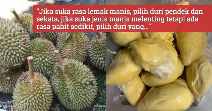 “Jangan tertipu penjual cakap baru luruh..” Anak Tauke durian ini kongsi tips pilih durian elok