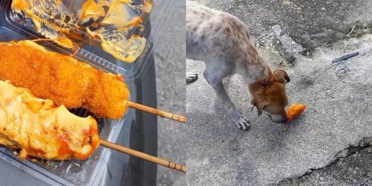 Perbualan lelaki ini dengan anjing ketika kongsi corndog cuit hati netizen