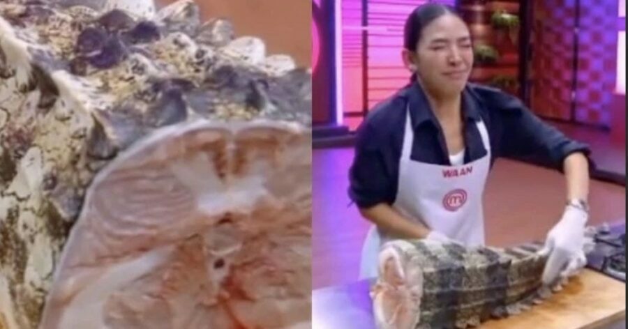 Masterchef Thailand masak ekor buaya, “Buat tomyam la lagi sodap”