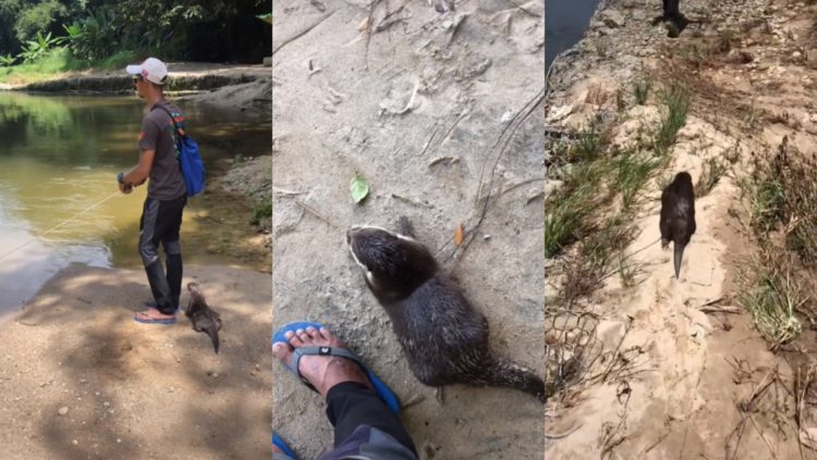 Pergi memancing sambil ditemani memerang raih perhatian ramai