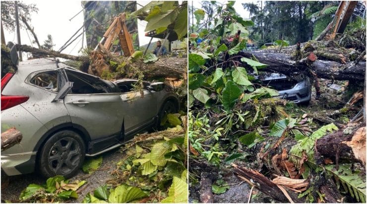 Pokok tumbang dan tanah runtuh di tanah rata Cameron Highlands, seorang lelaki cedera kereta dihempap pokok