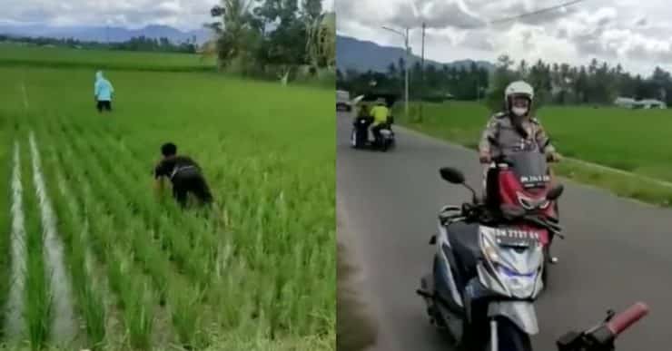 Dikepung Polis kepung sebab tak pakai ‘helmet’, dua pemuda nekad terjun sawah ‘acah’ jadi pesawah