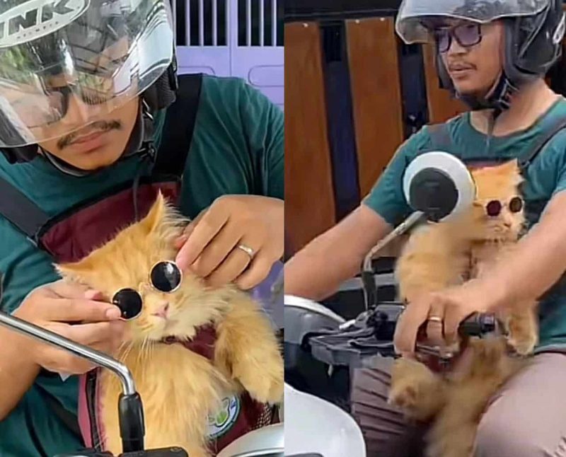Bukan sebarang Oyen