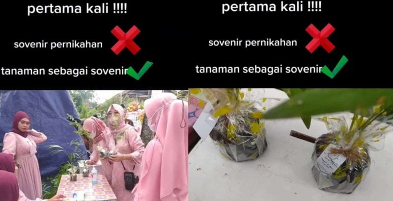 Beri pokok kepada tetamu sebagai doorgift, rezeki buat yang suka menanam