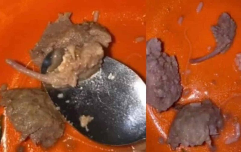 “Bokso mickey mouse” wanita dakwa jumpa ekor tikus dalam bebola bakso yang dimakannya buat ramai kembang tekak