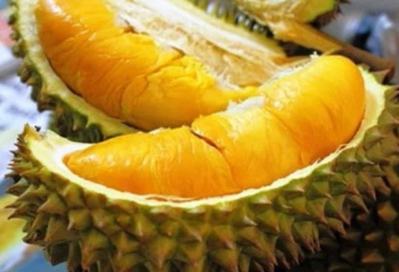 Harga durian dijangka naik sekali ganda tahun ini