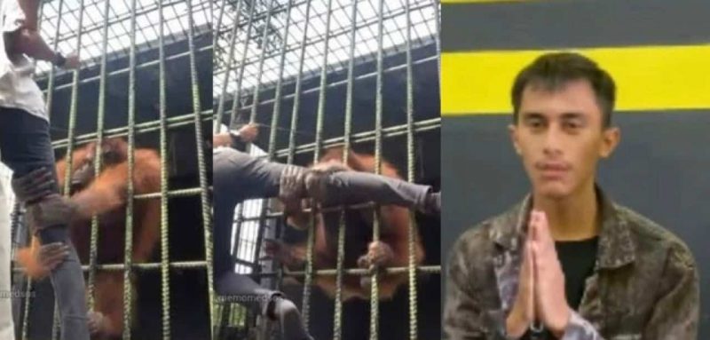 Pemuda ditarik orang utan tampil mohon maaf, akui langgar peraturan zoo demi ‘content’