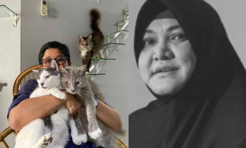 PA & Keluarga arwah pegang amanah Adibah Noor, jaga kebajikan semua kucing miliknya