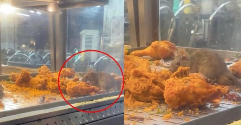 Video tikus selamba rata ayam goreng restoran mamak, KKM minta bantuan netizen cari pihak restoran