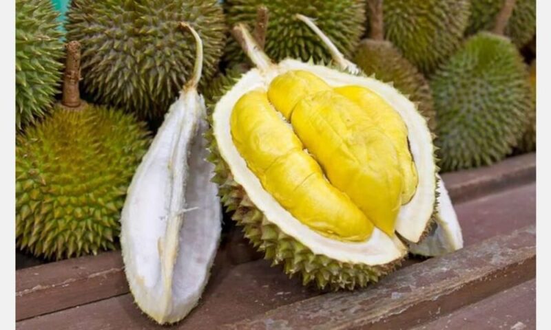 Poster papar durian sebagai buah kebangsaan Singapura undang pelbagai reaksi netizen